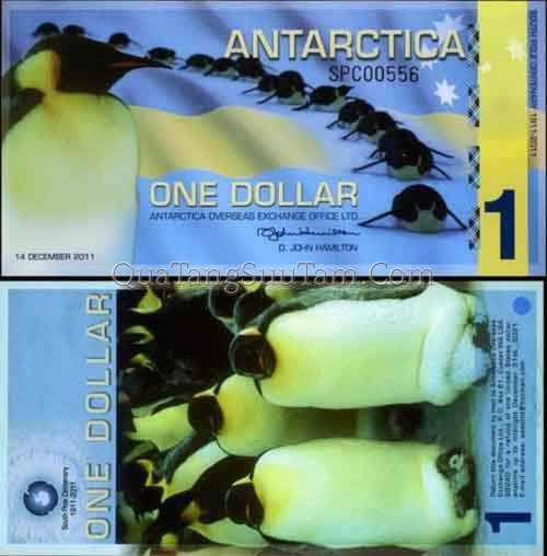 ANTARTICA - Antarctica 1 dollar 2011 Polymer UNC _ 55K